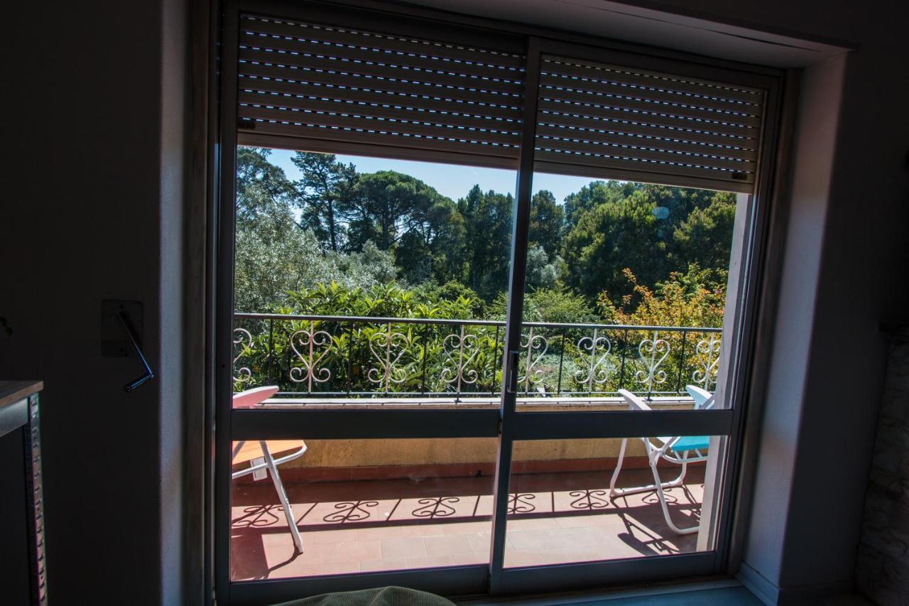 Carvalhos House Βίλα Σίντρα Εξωτερικό φωτογραφία